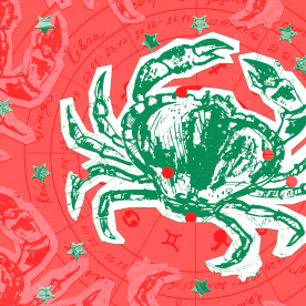 Zodiac collage on a color background